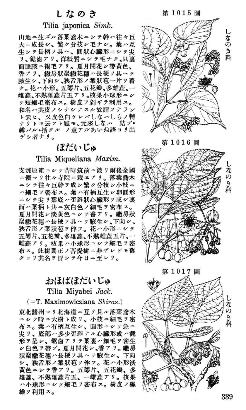 植物図鑑