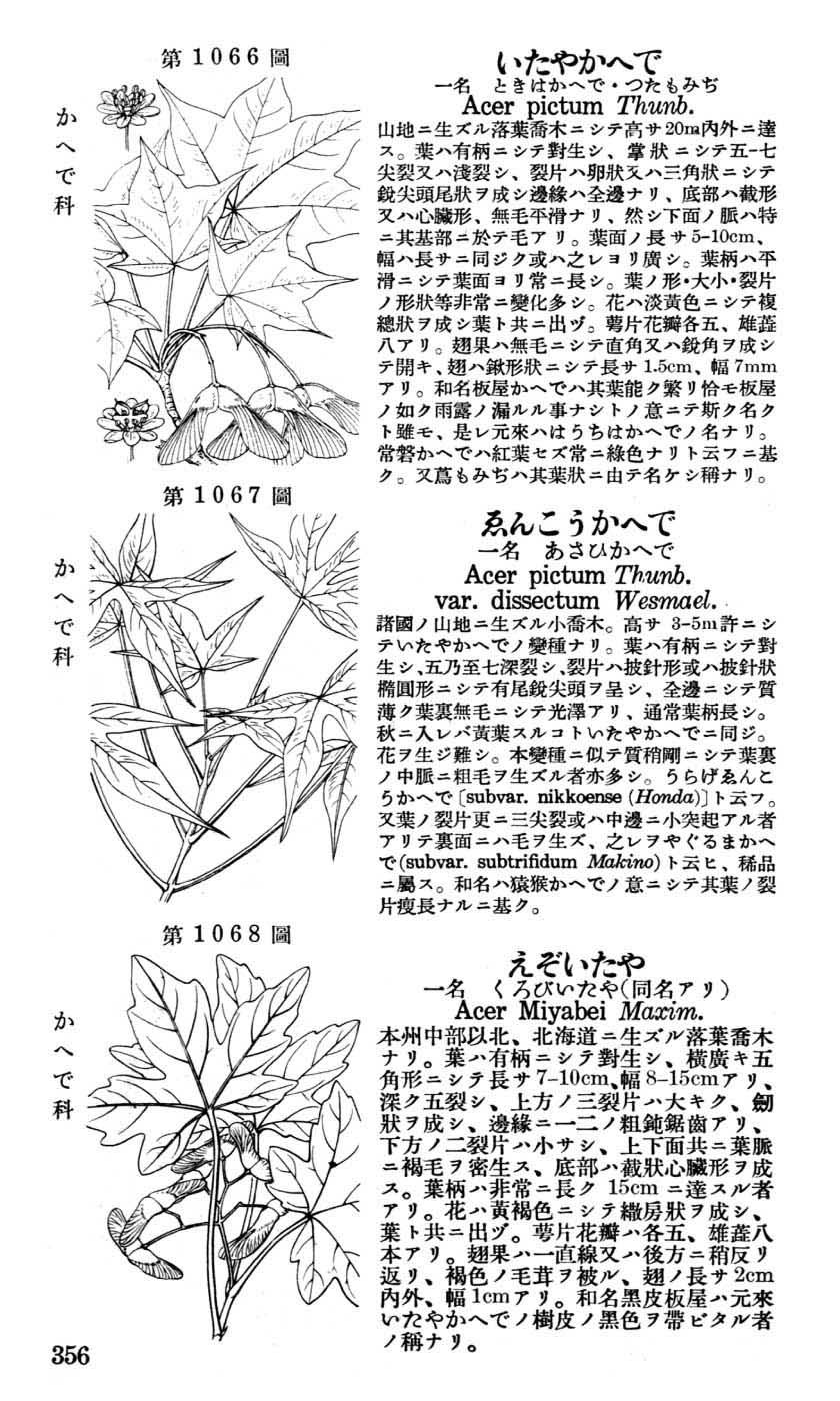 植物図鑑