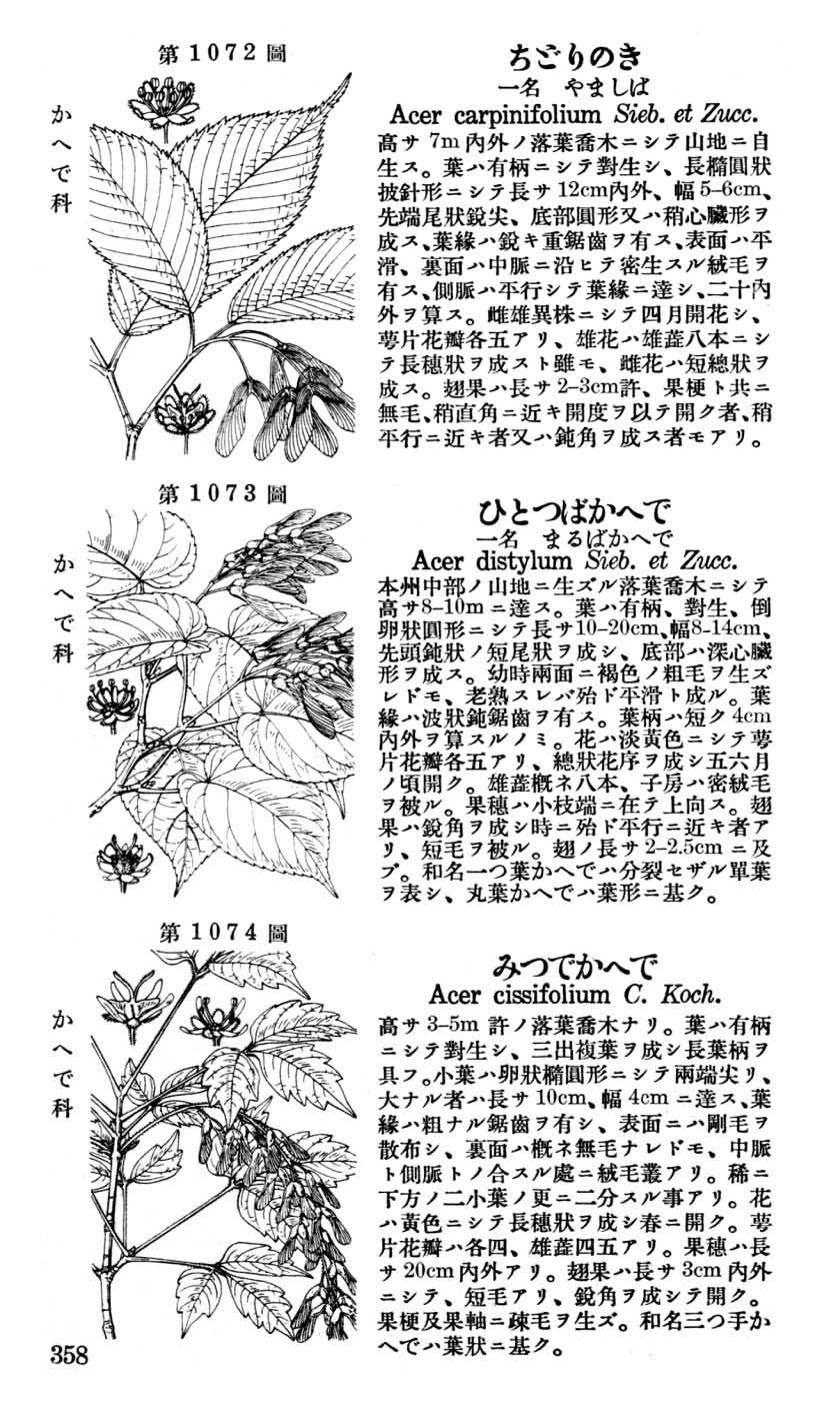 植物図鑑