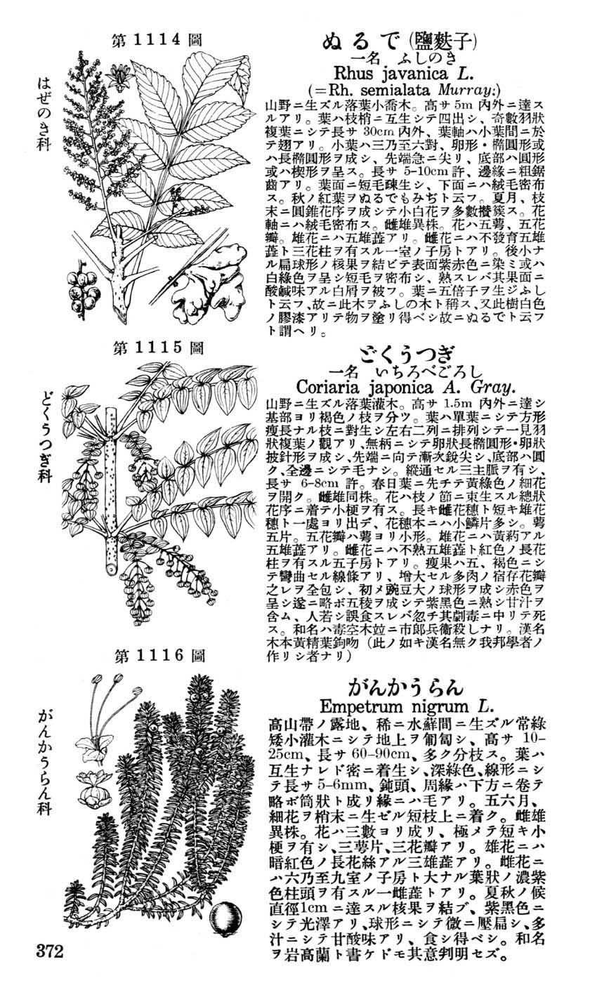 植物図鑑