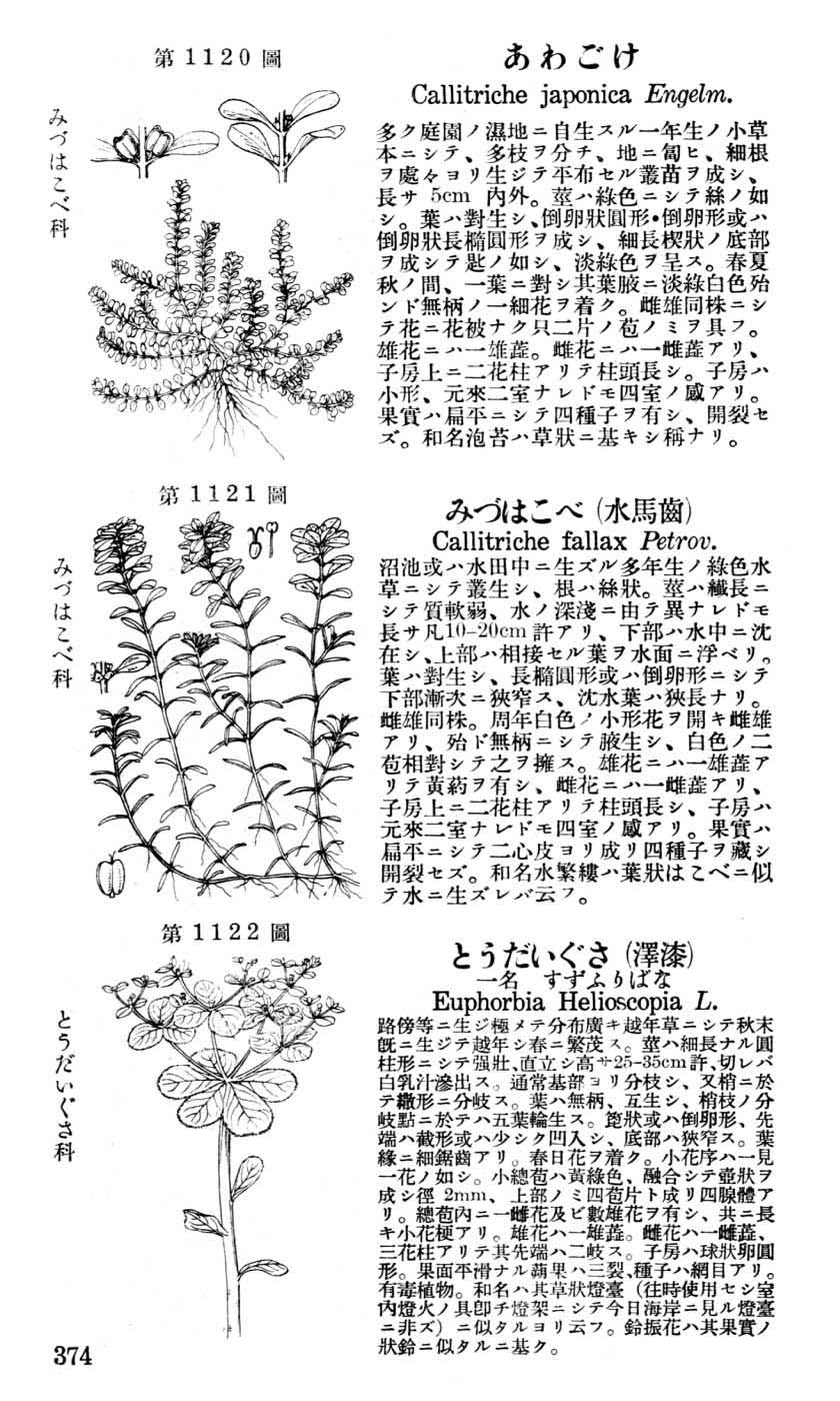 植物図鑑