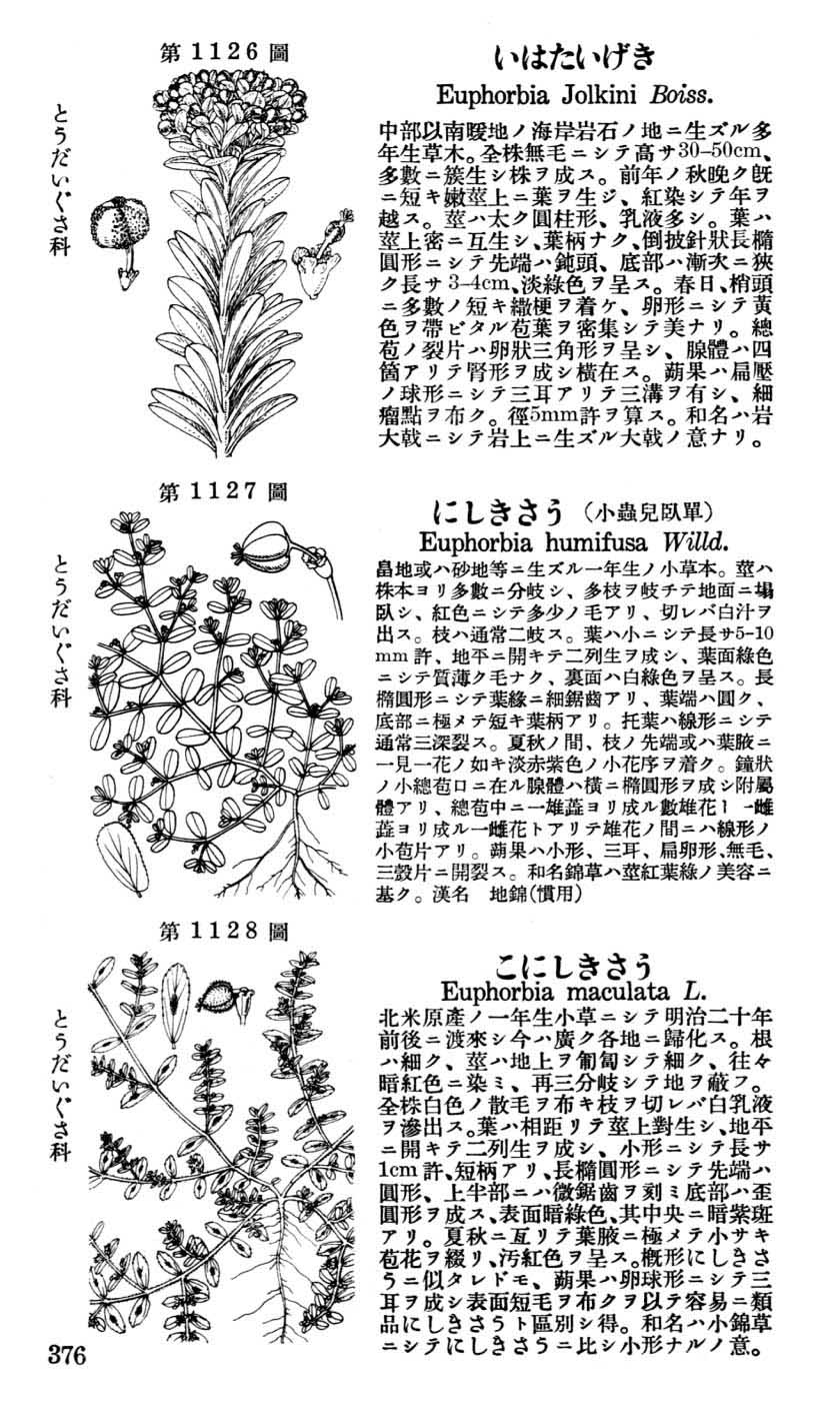植物図鑑