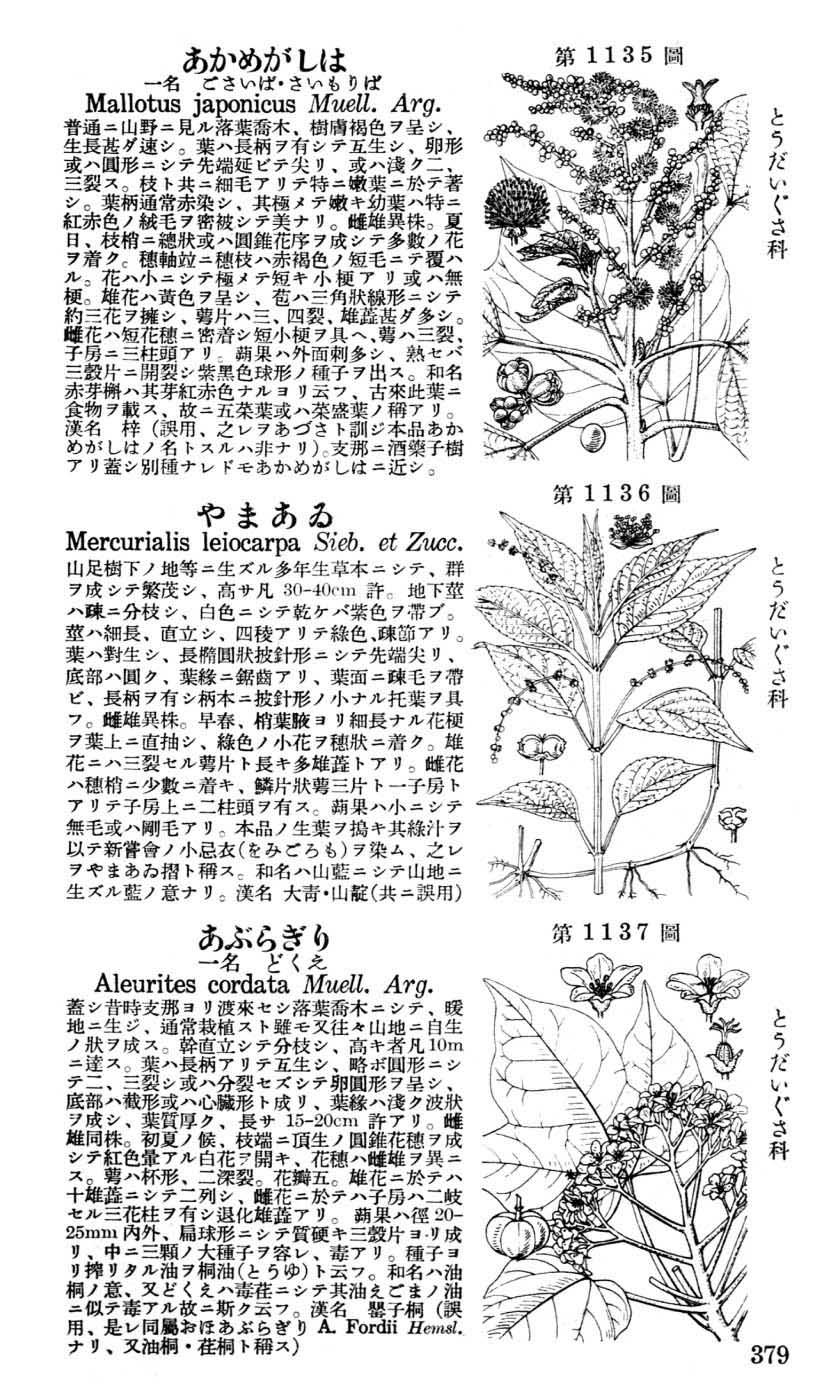 植物図鑑