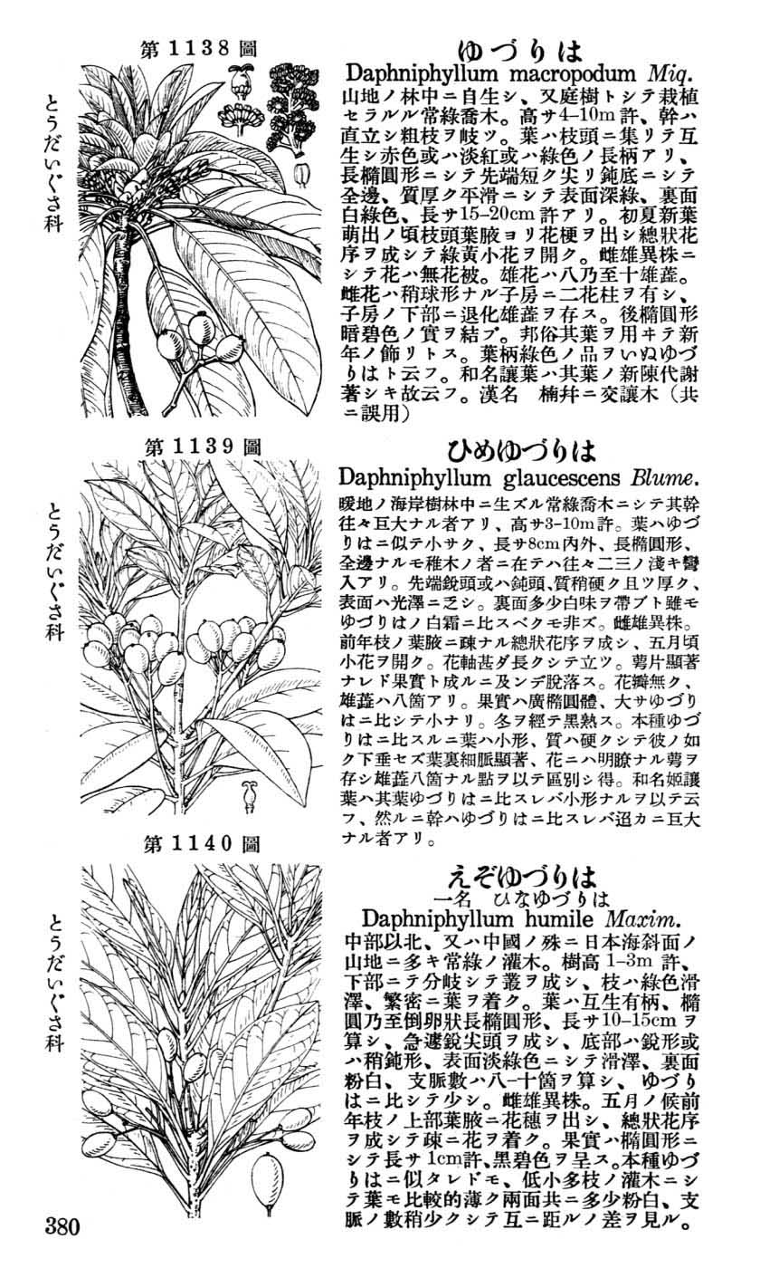 植物図鑑