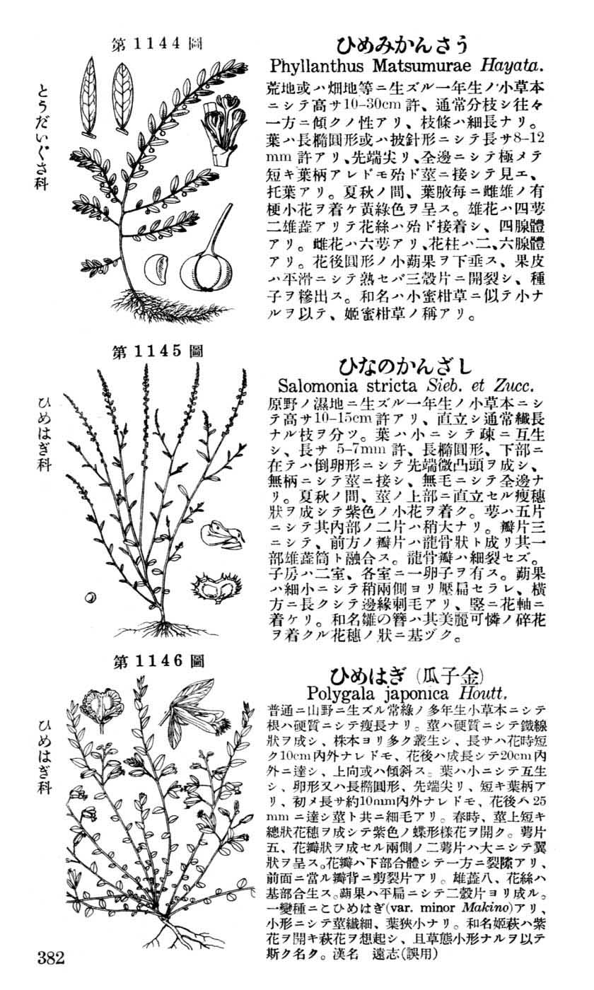 植物図鑑