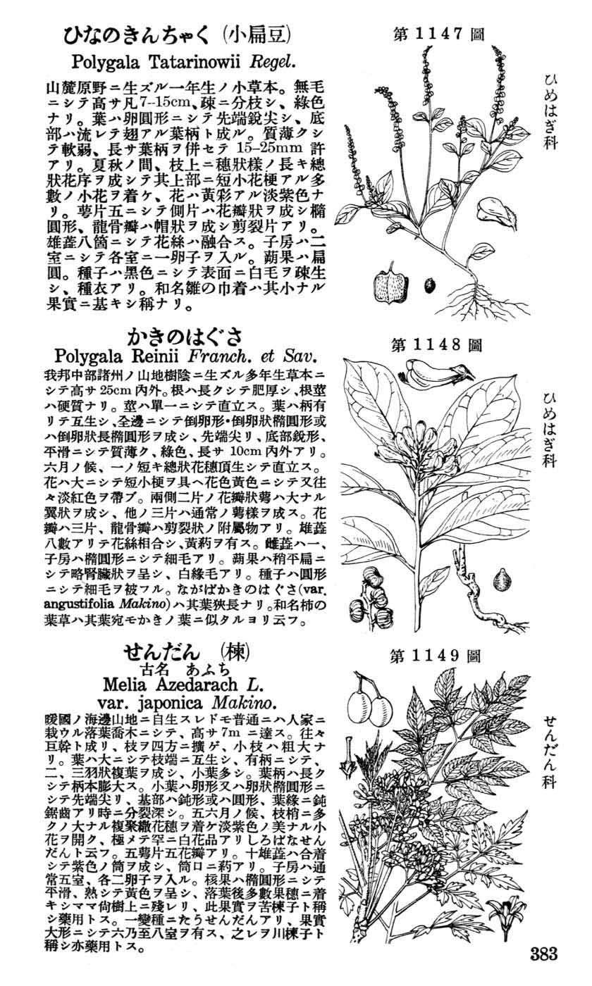植物図鑑