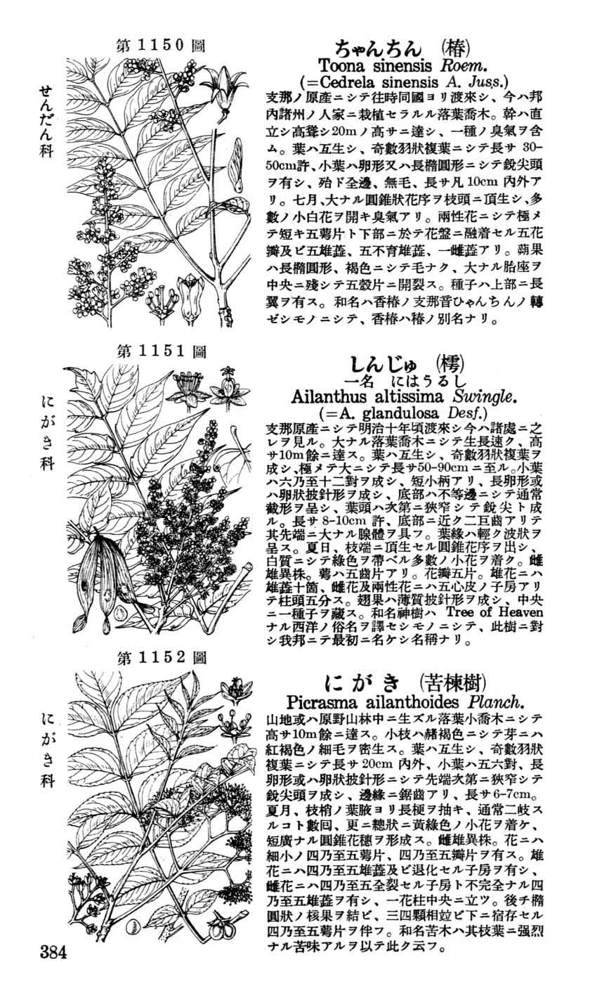 植物図鑑