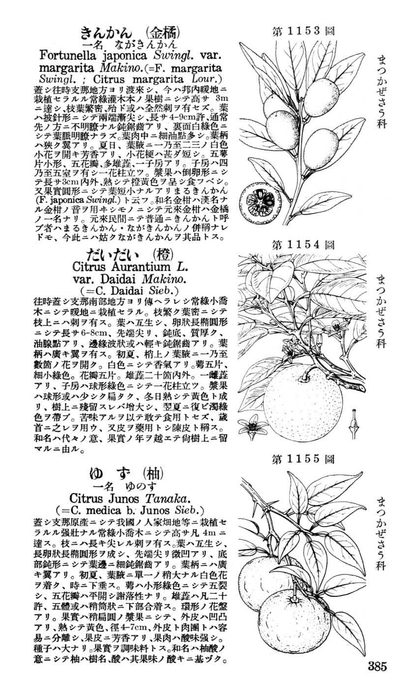 植物図鑑