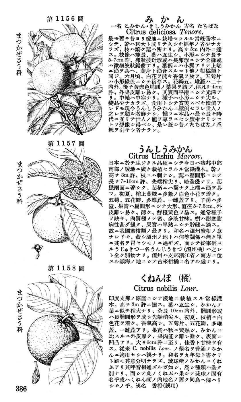 植物図鑑