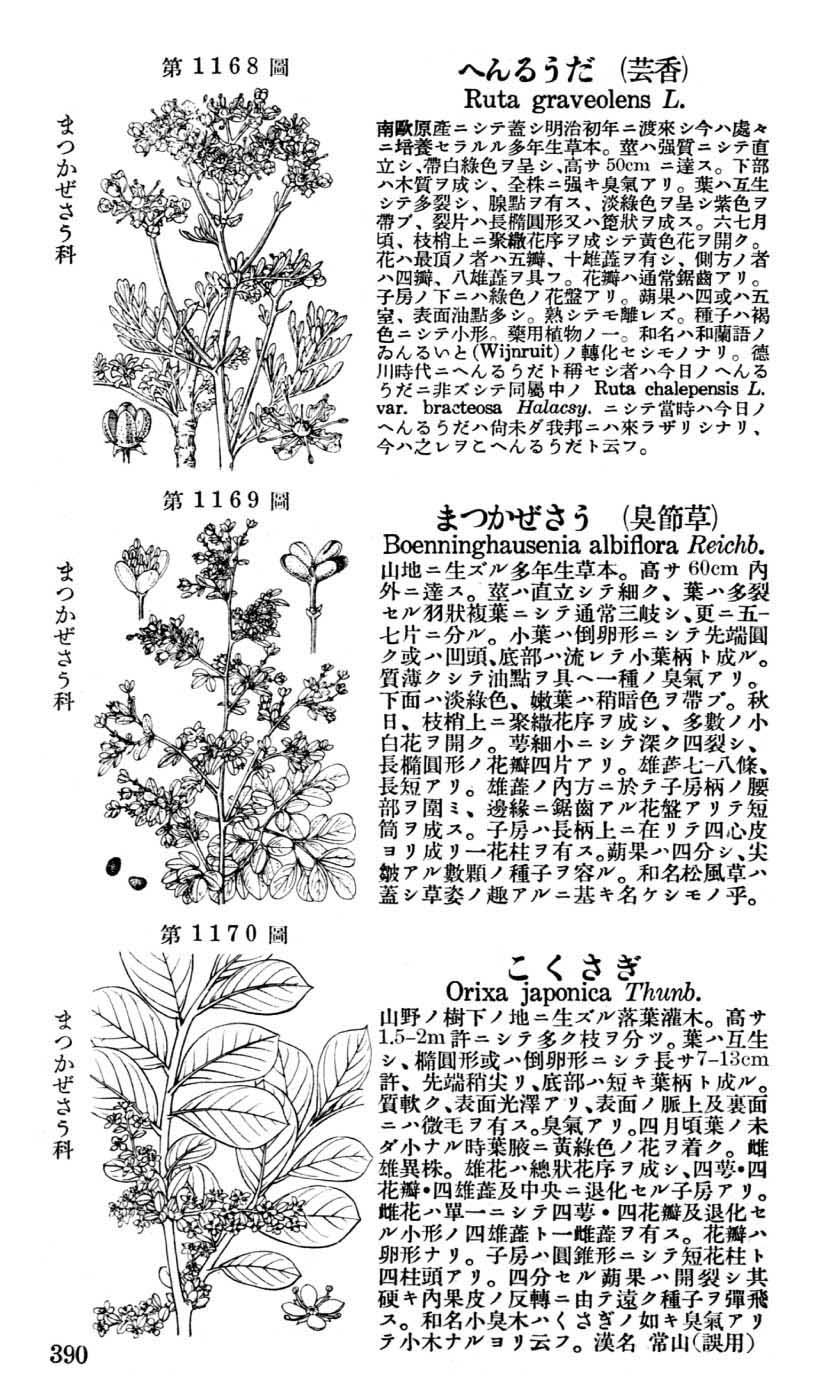 植物図鑑