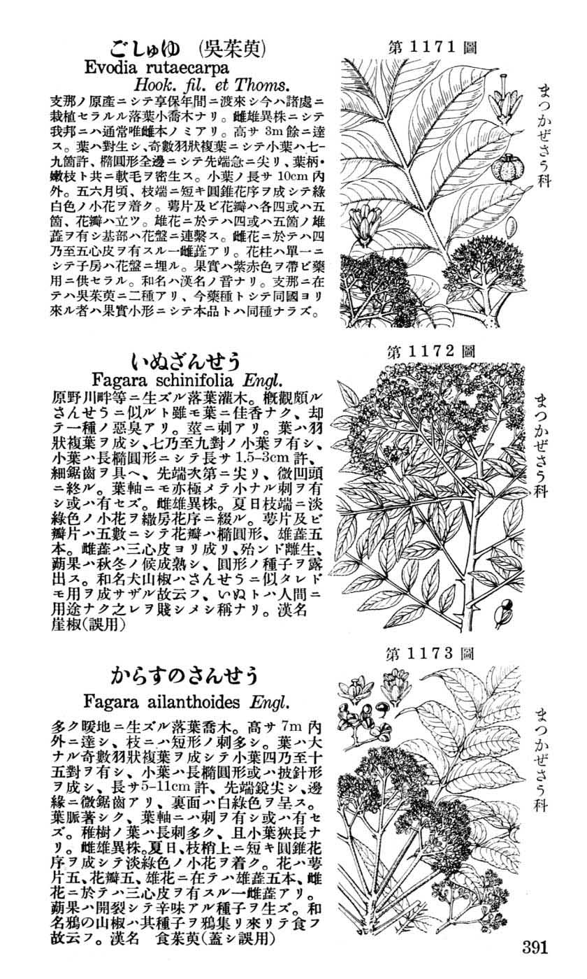 植物図鑑