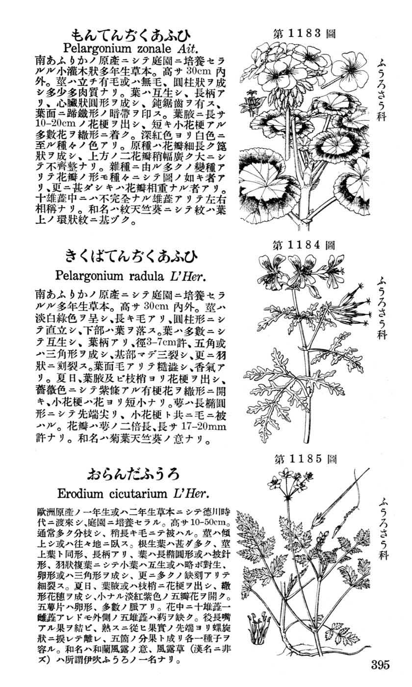 植物図鑑