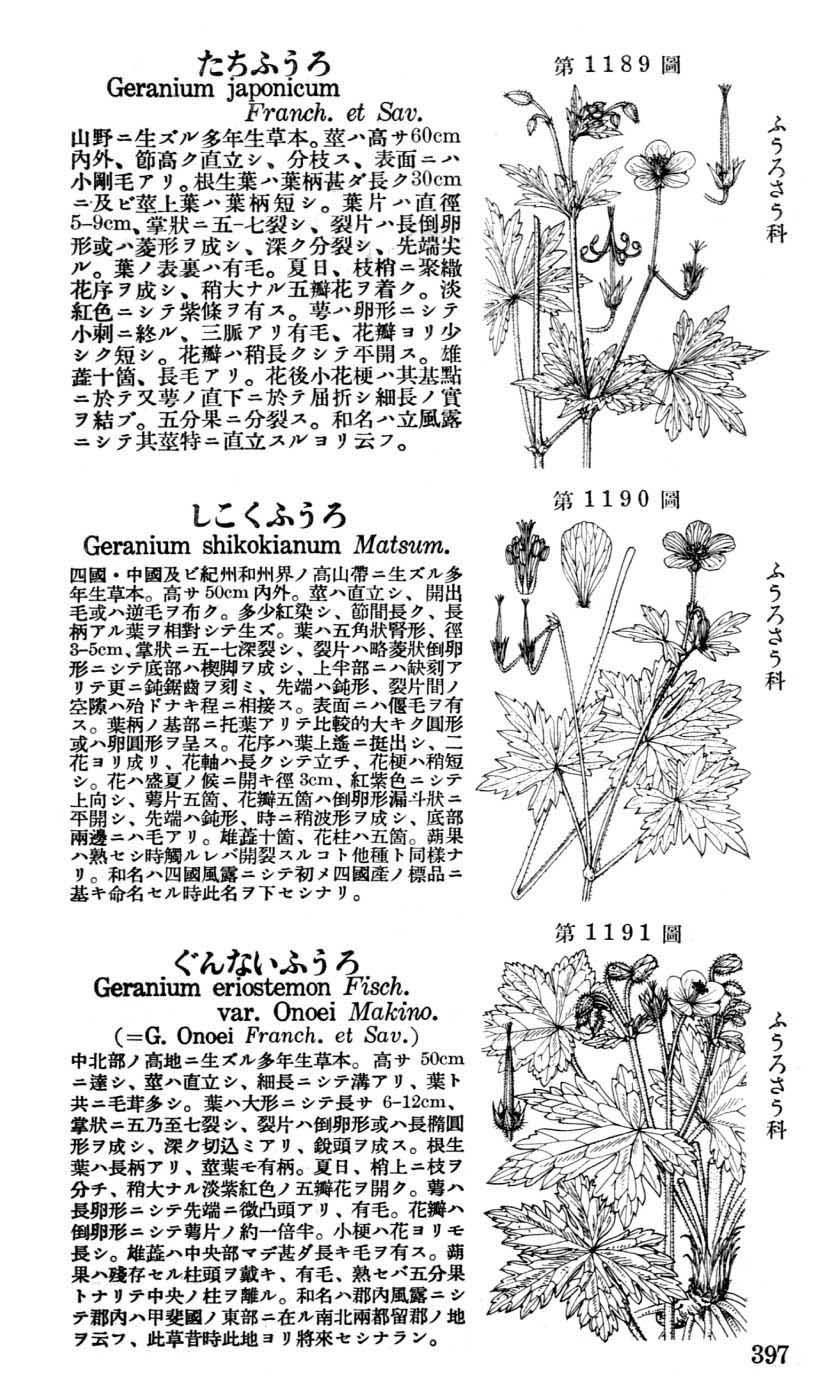 植物図鑑