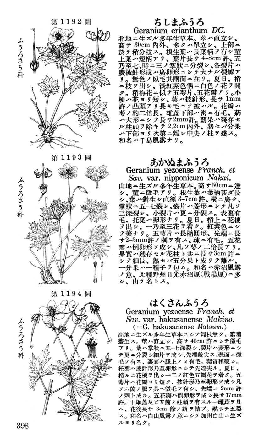 植物図鑑