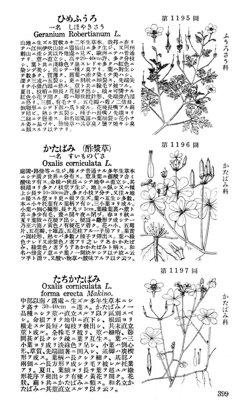 植物図鑑