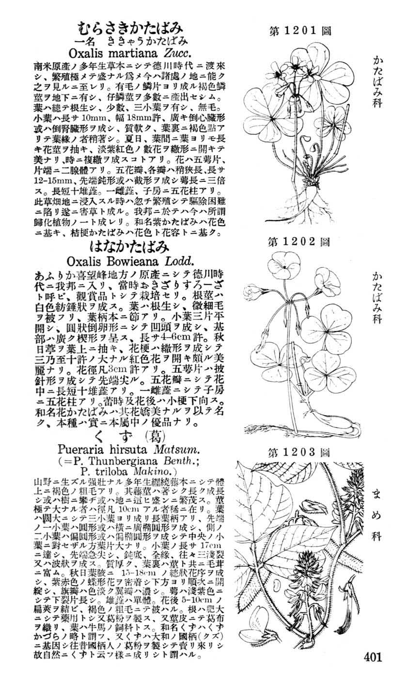 植物図鑑
