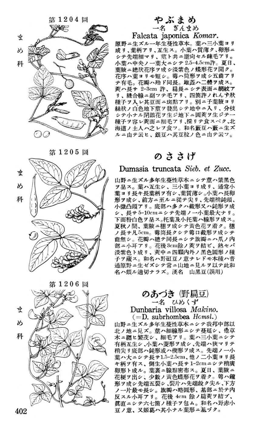 植物図鑑