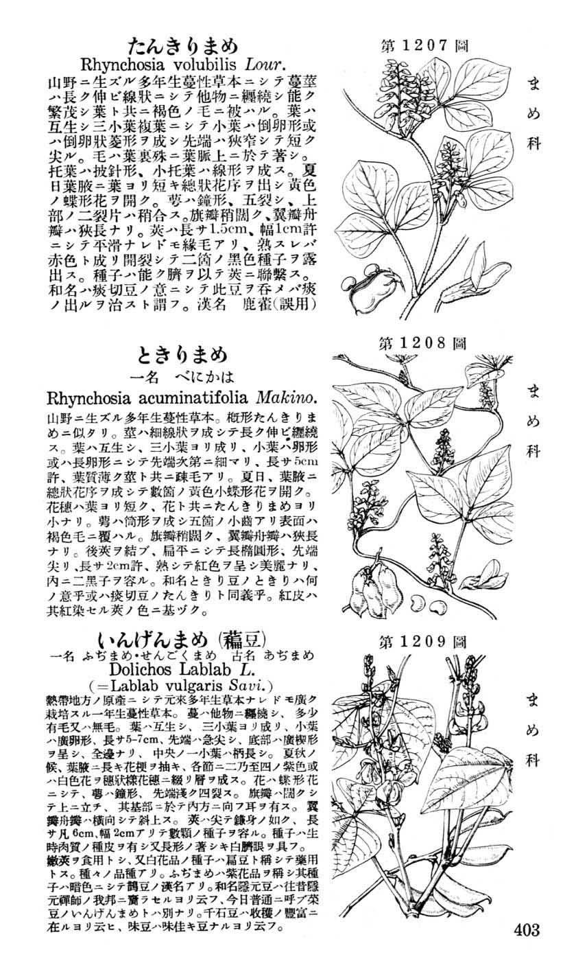 植物図鑑