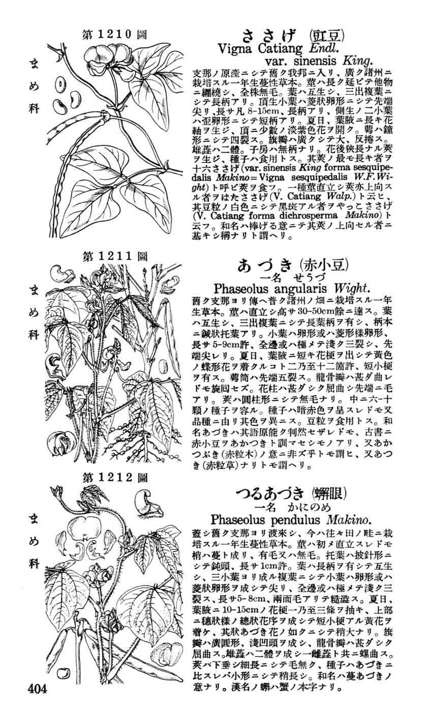 植物図鑑