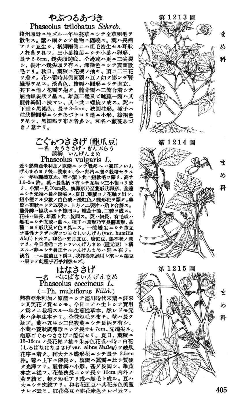 植物図鑑