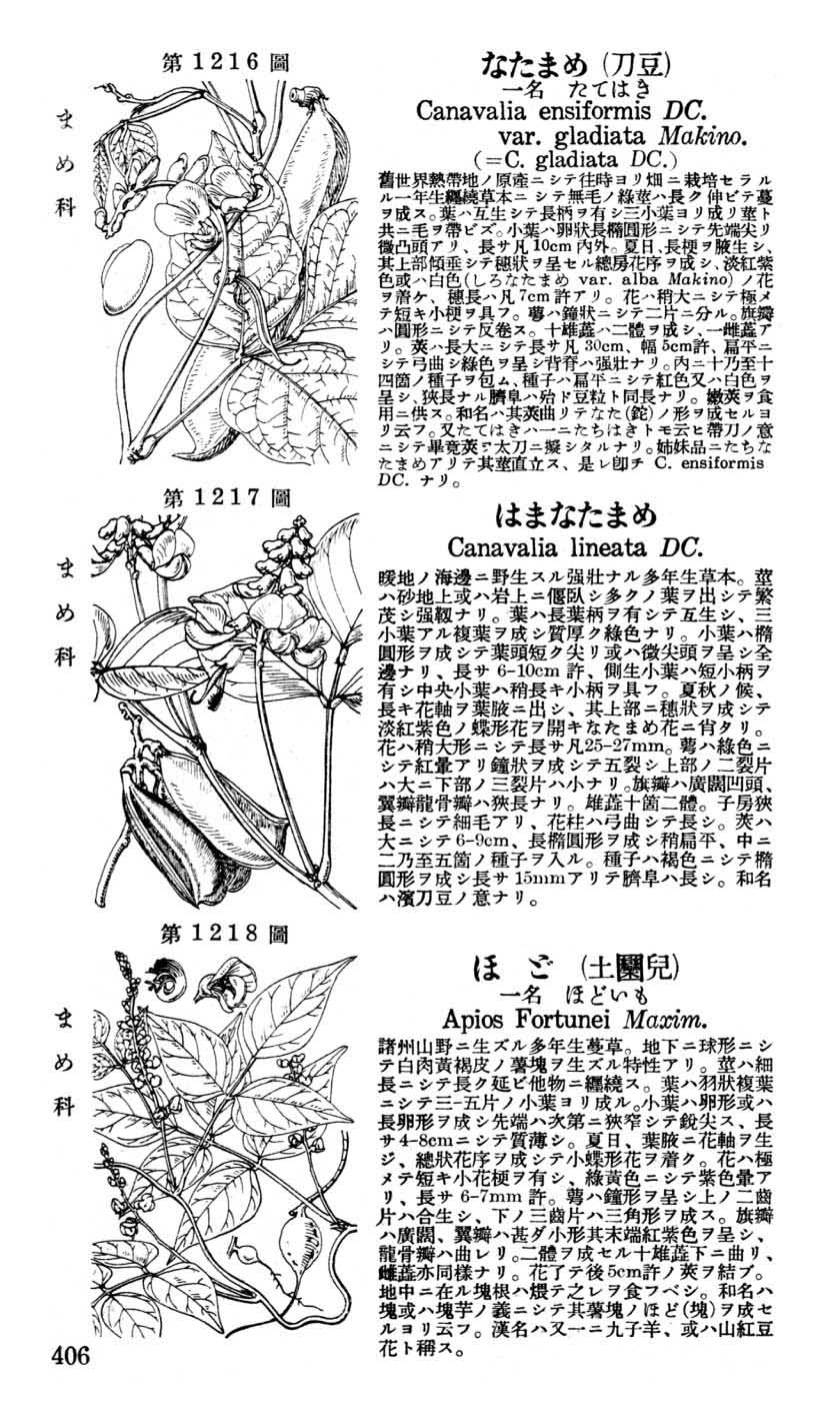 植物図鑑
