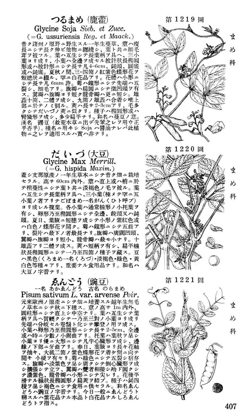 植物図鑑