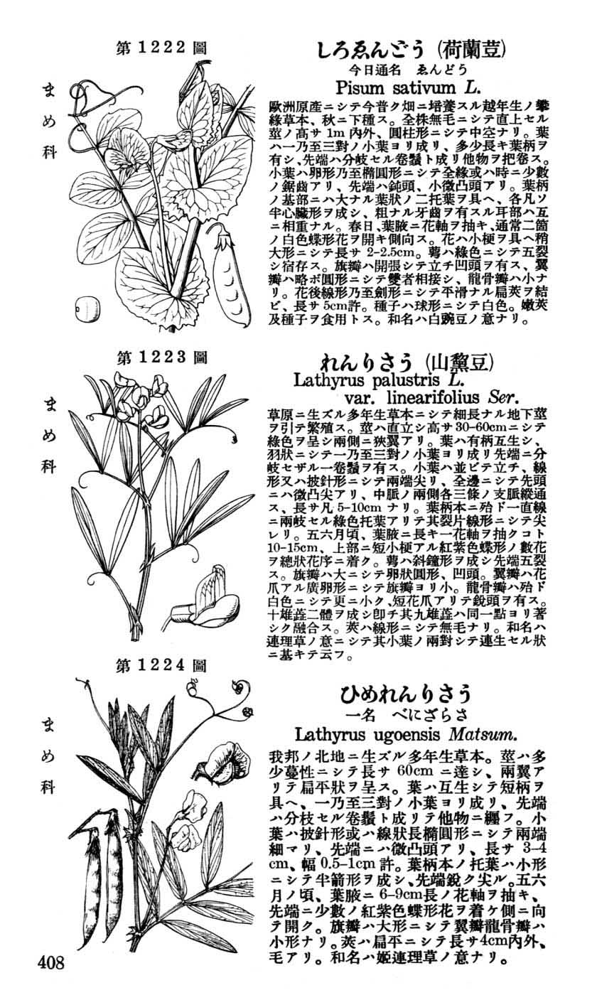 植物図鑑