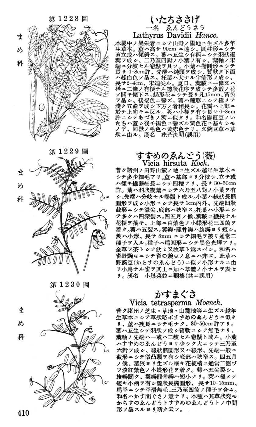 植物図鑑
