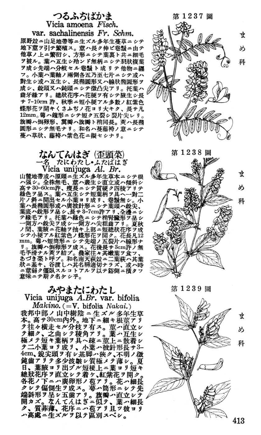 植物図鑑