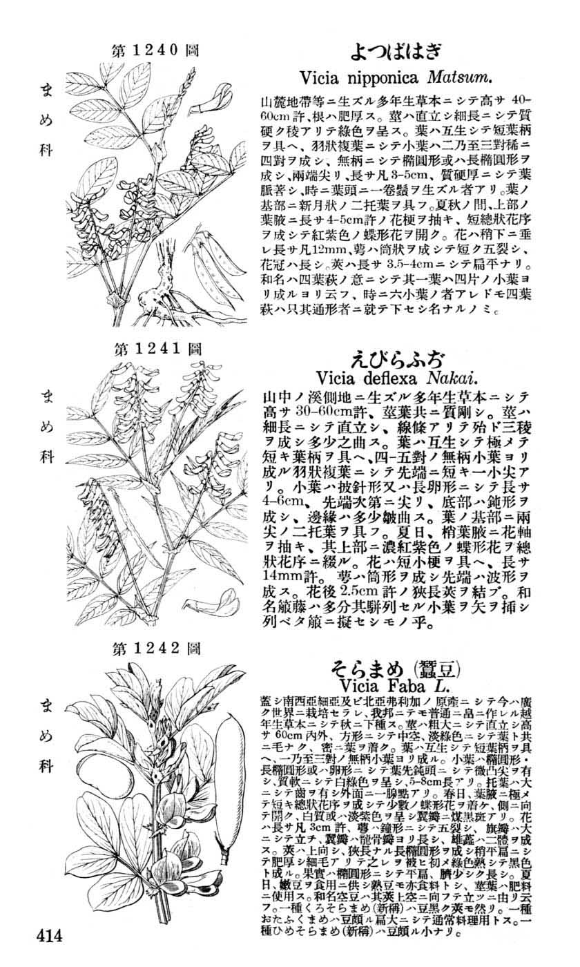 植物図鑑