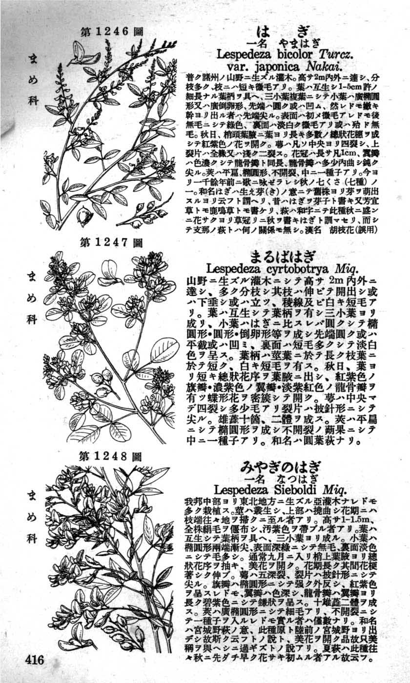 植物図鑑
