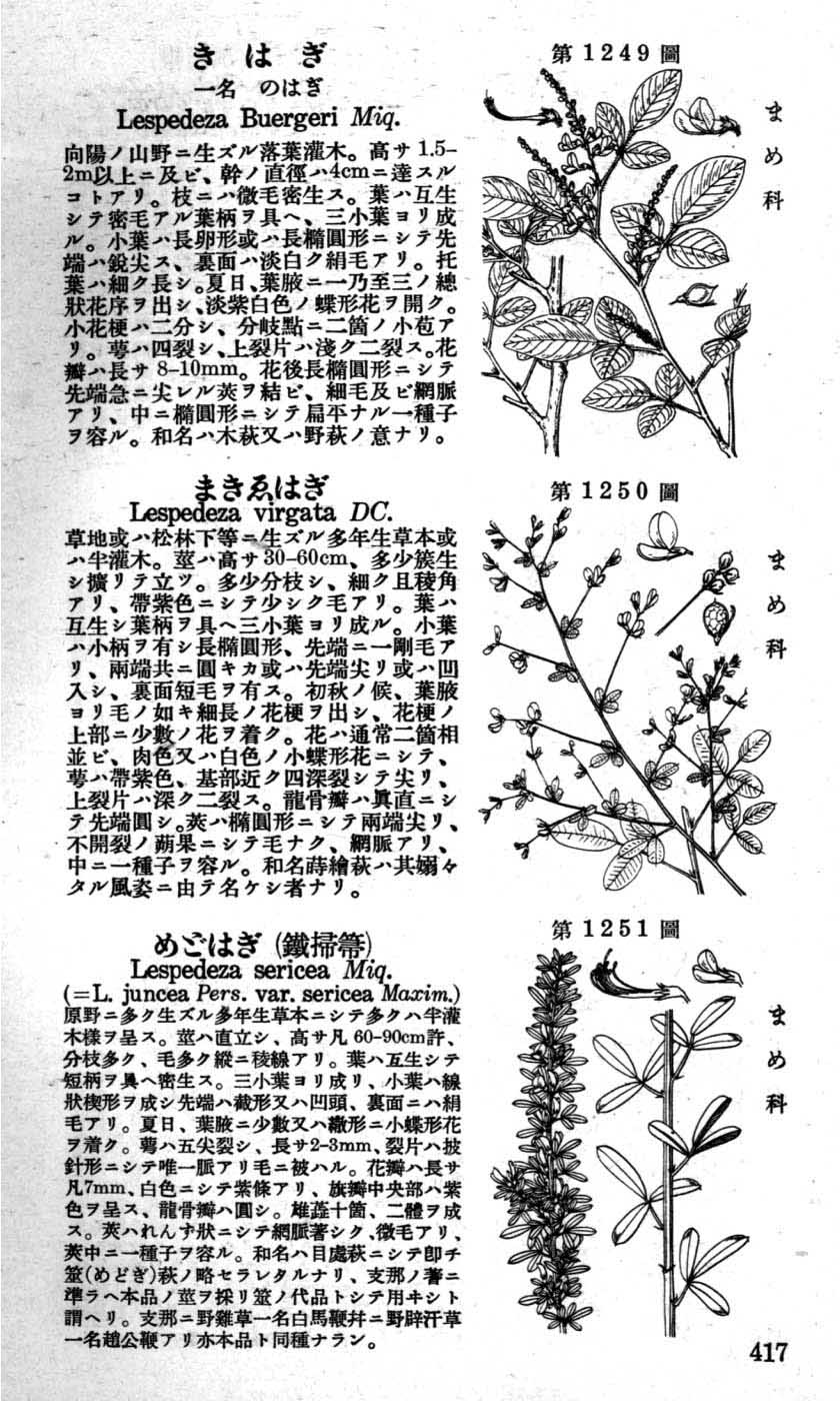 植物図鑑