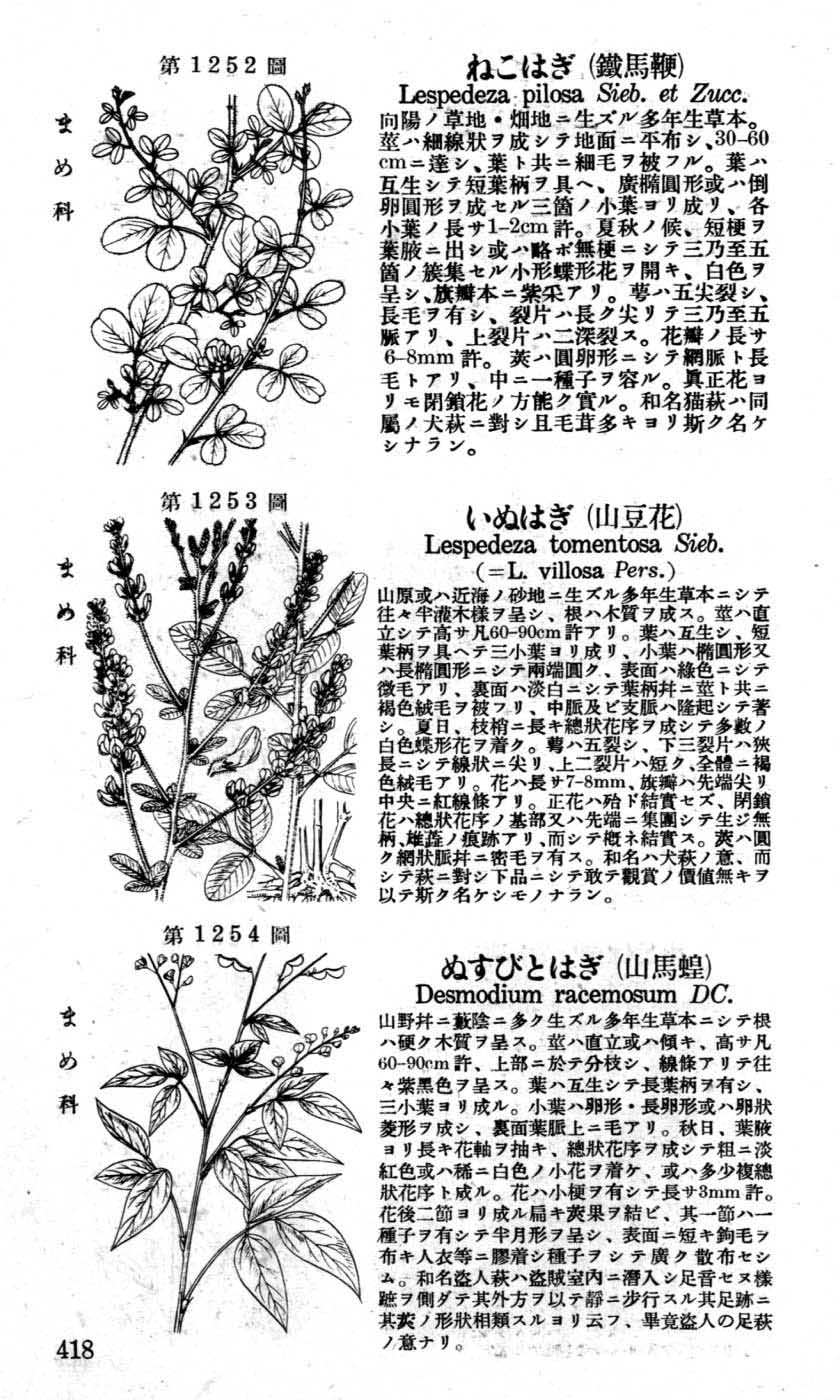 植物図鑑