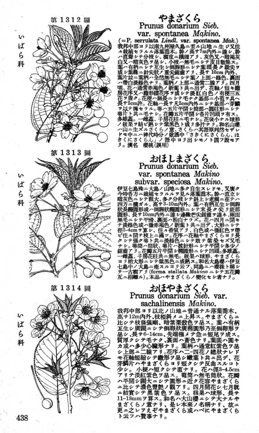 植物図鑑