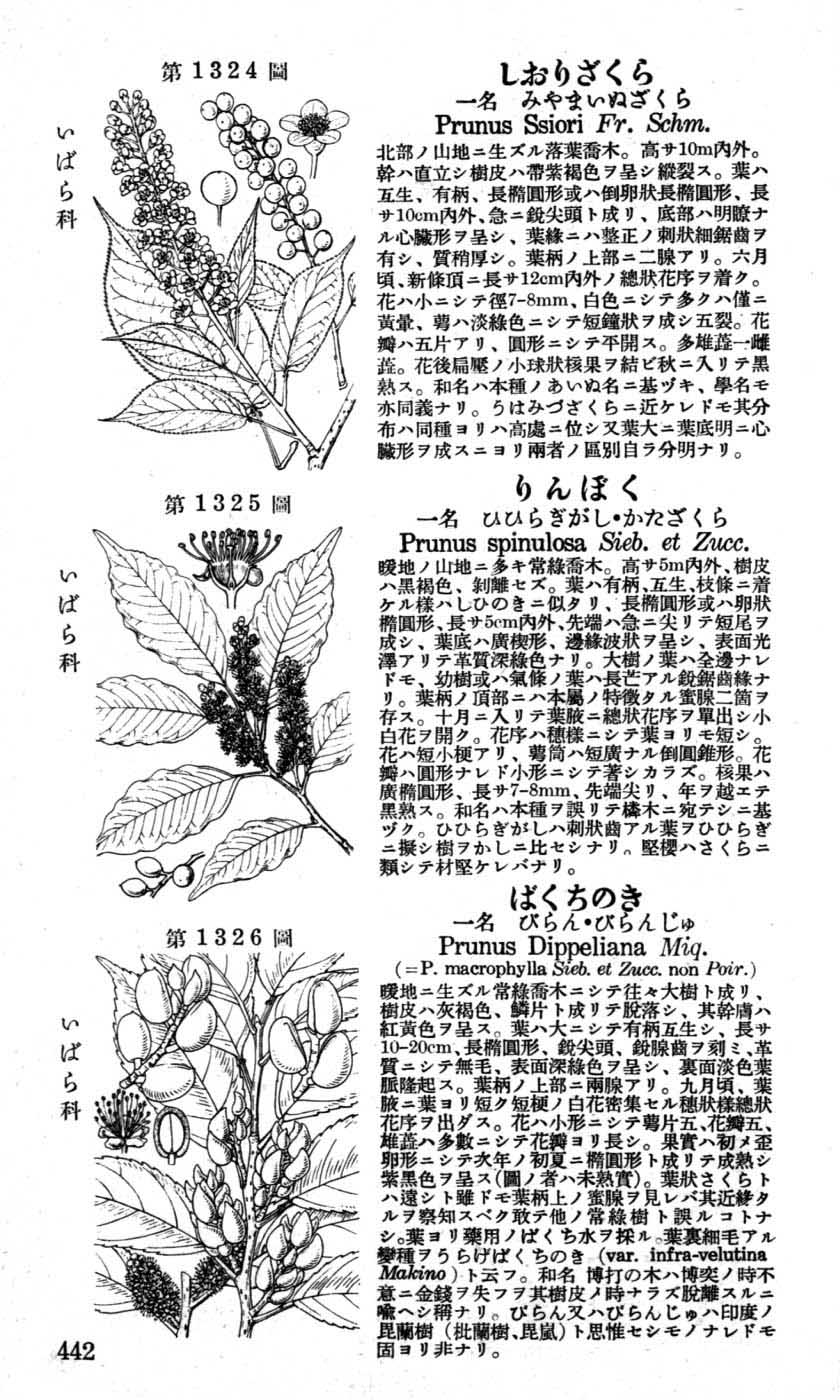 植物図鑑