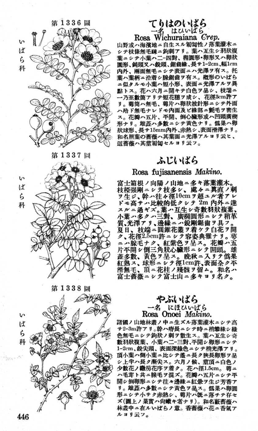 植物図鑑