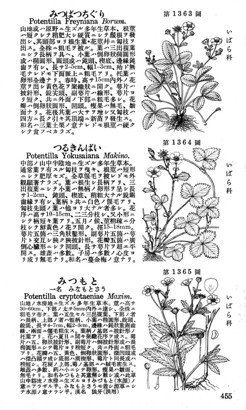 植物図鑑