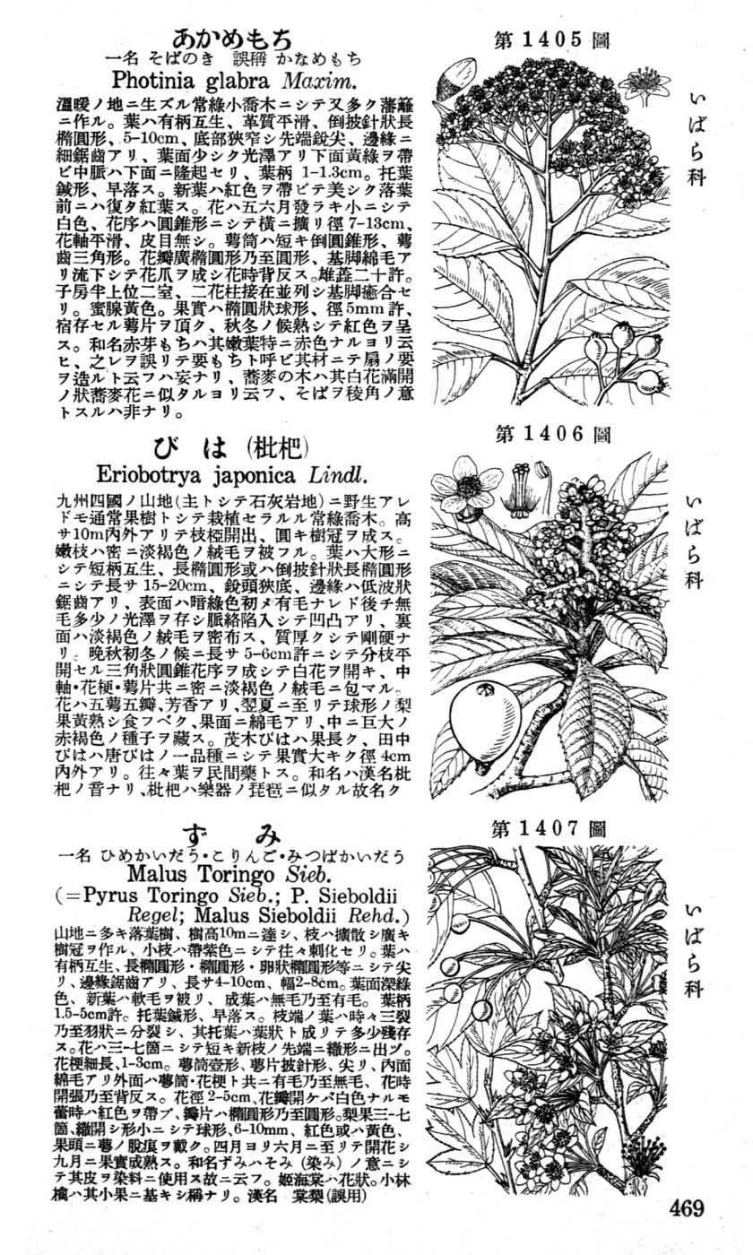 植物図鑑