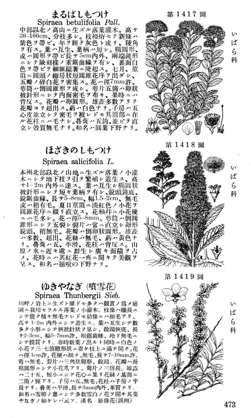 植物図鑑