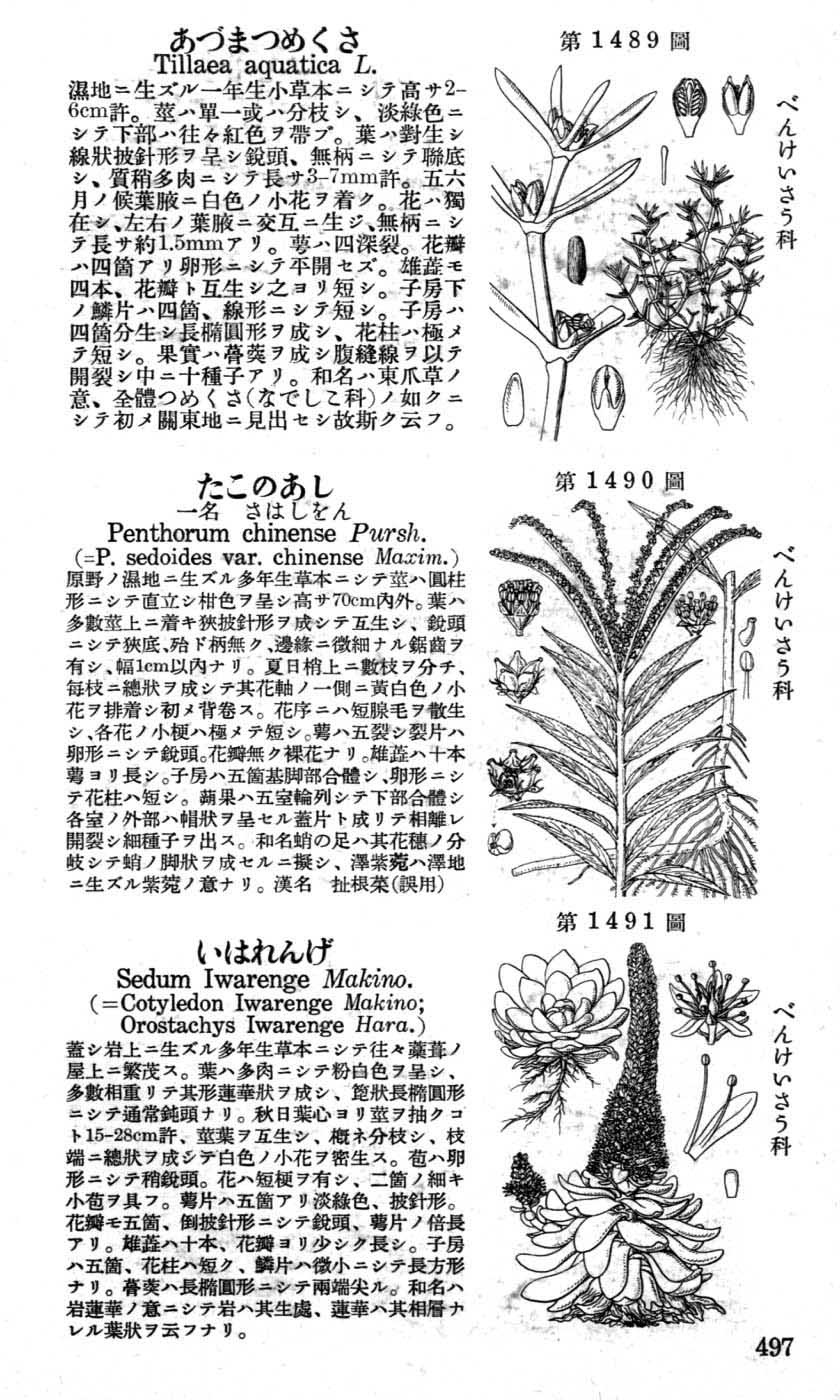 植物図鑑