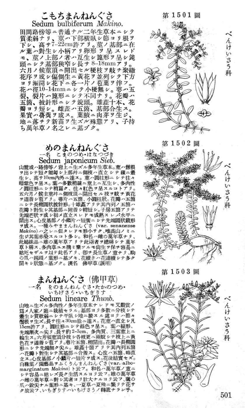植物図鑑