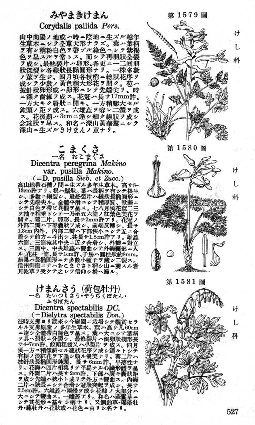 植物図鑑