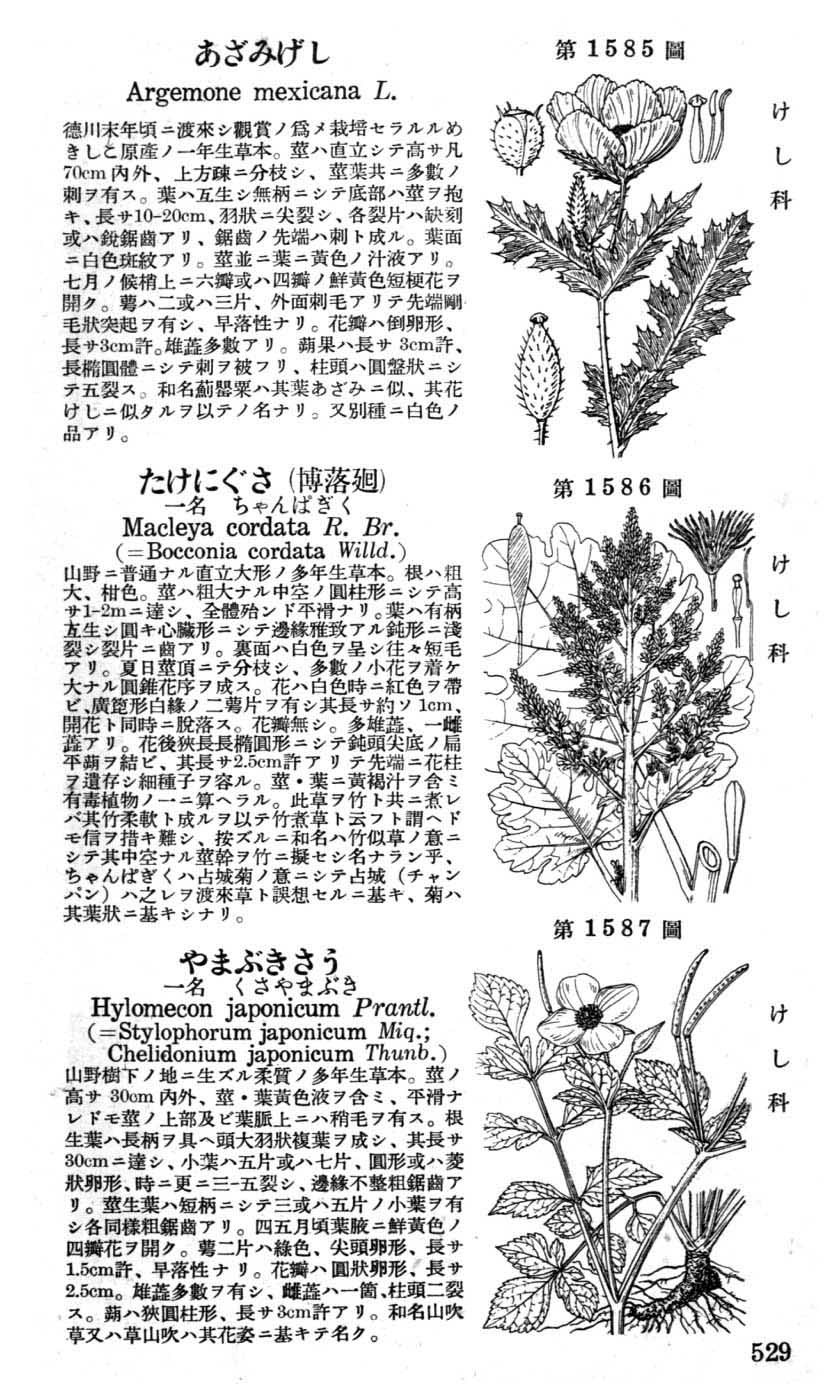 植物図鑑