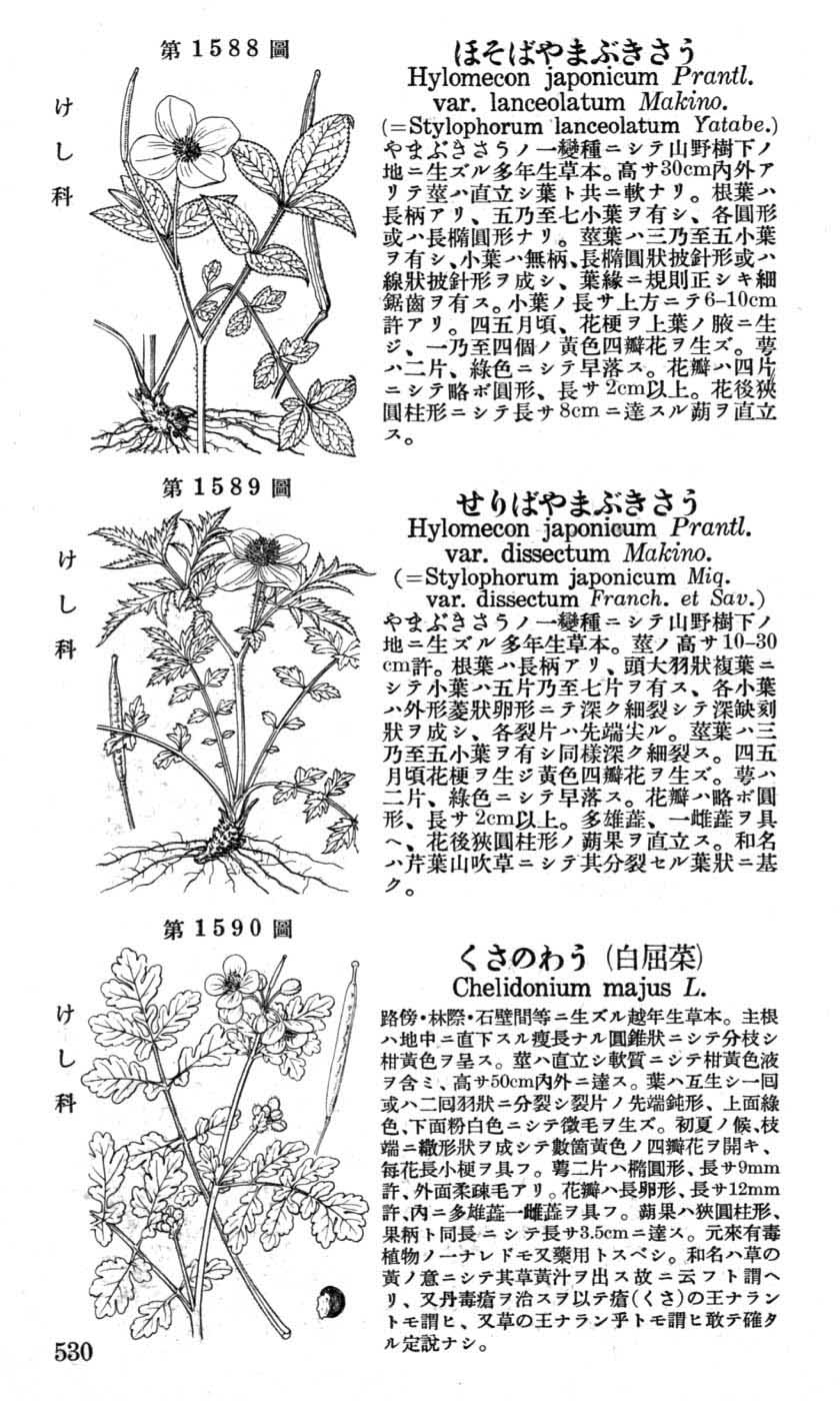 植物図鑑