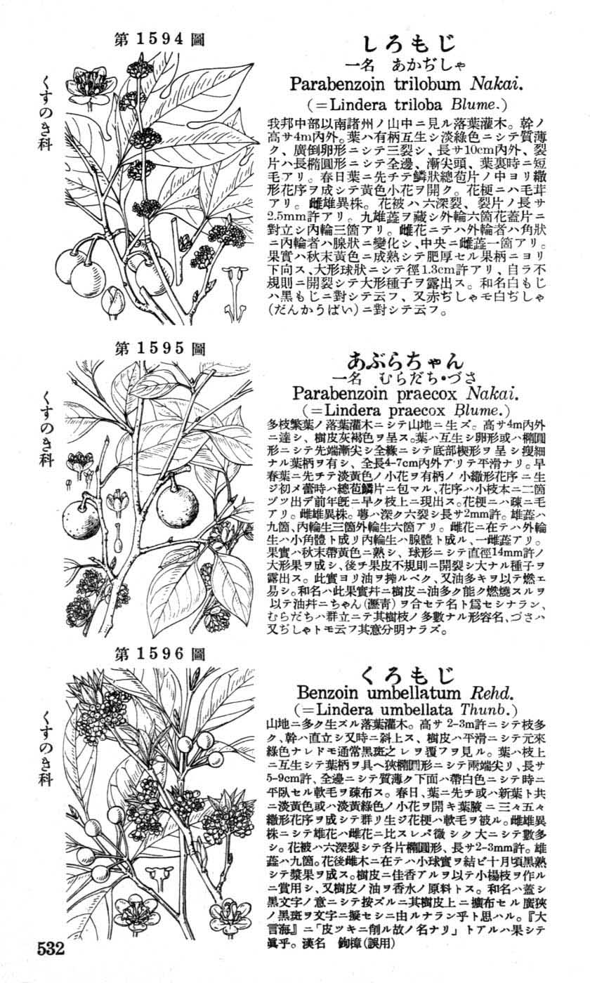 植物図鑑