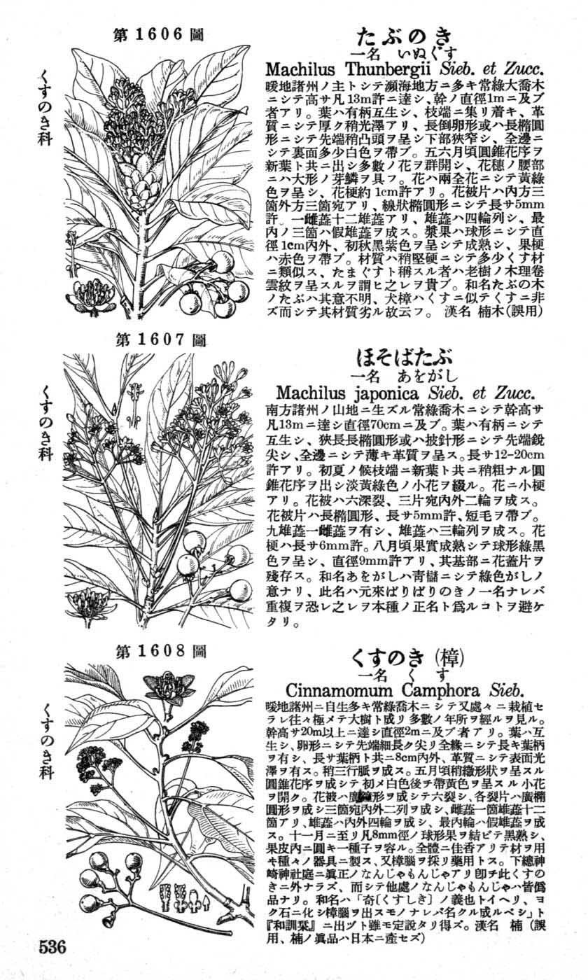 植物図鑑