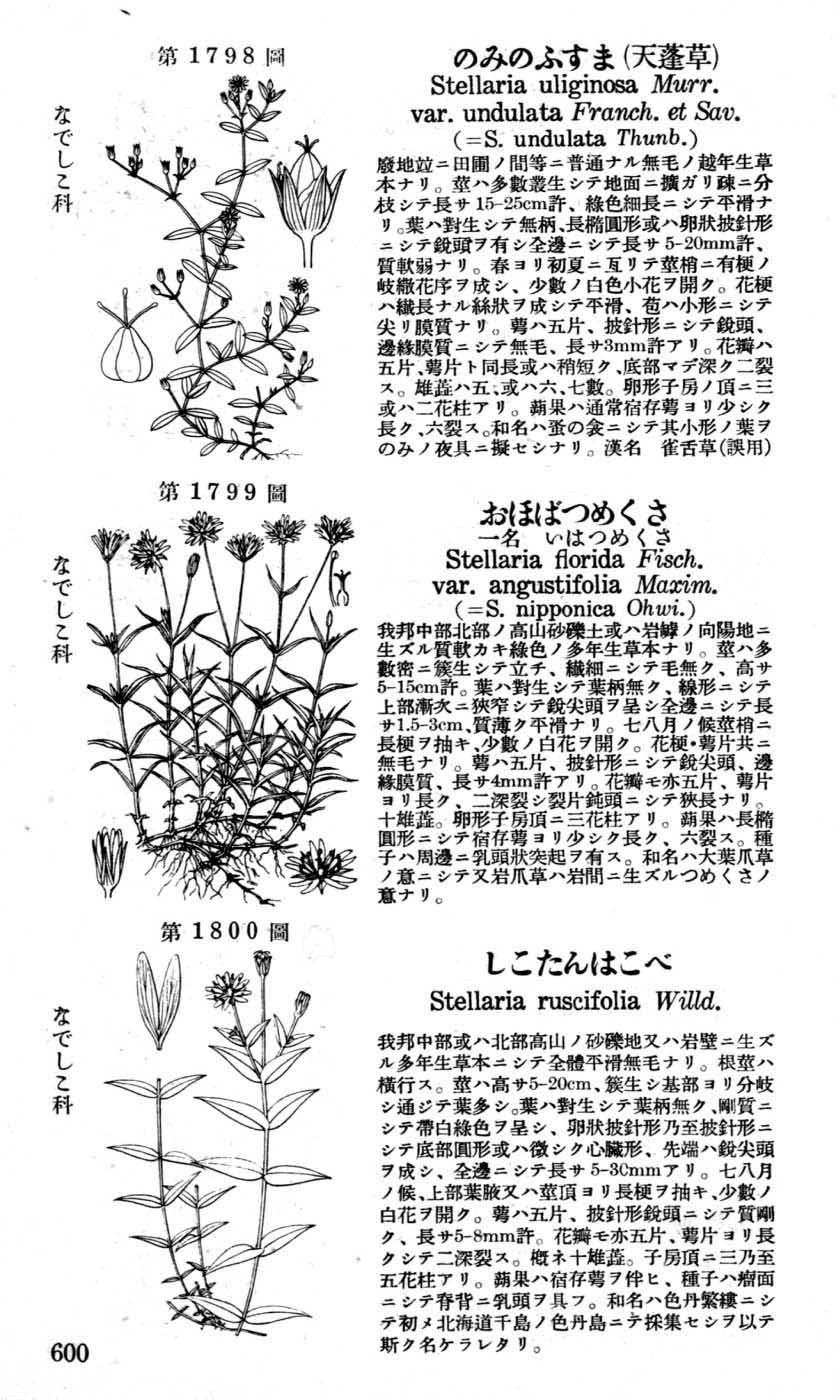 植物図鑑