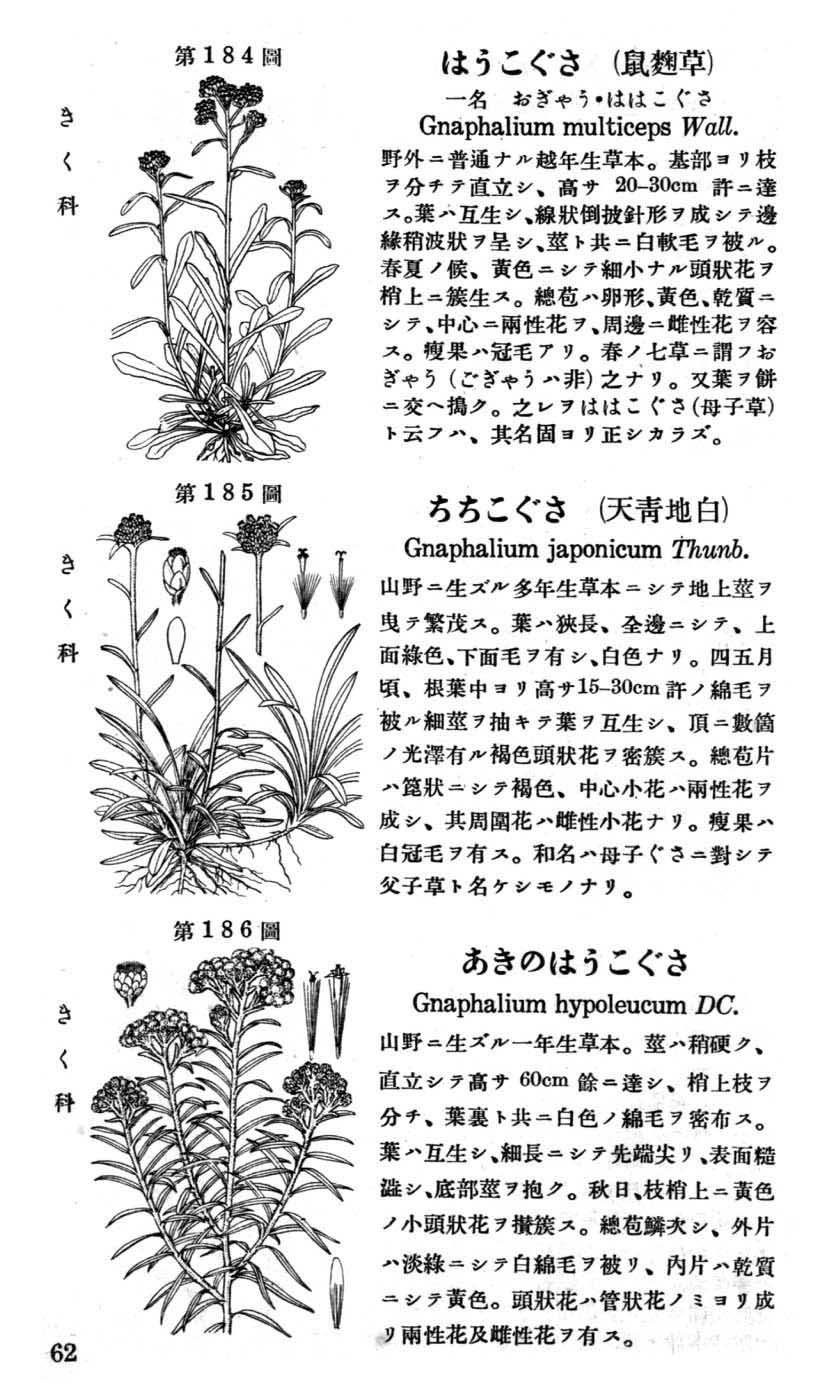 植物図鑑