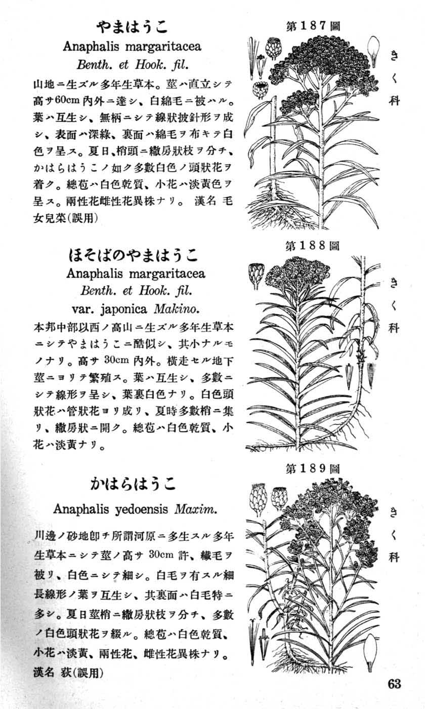 牧野日本植物図鑑（初版・増補版）インターネット版