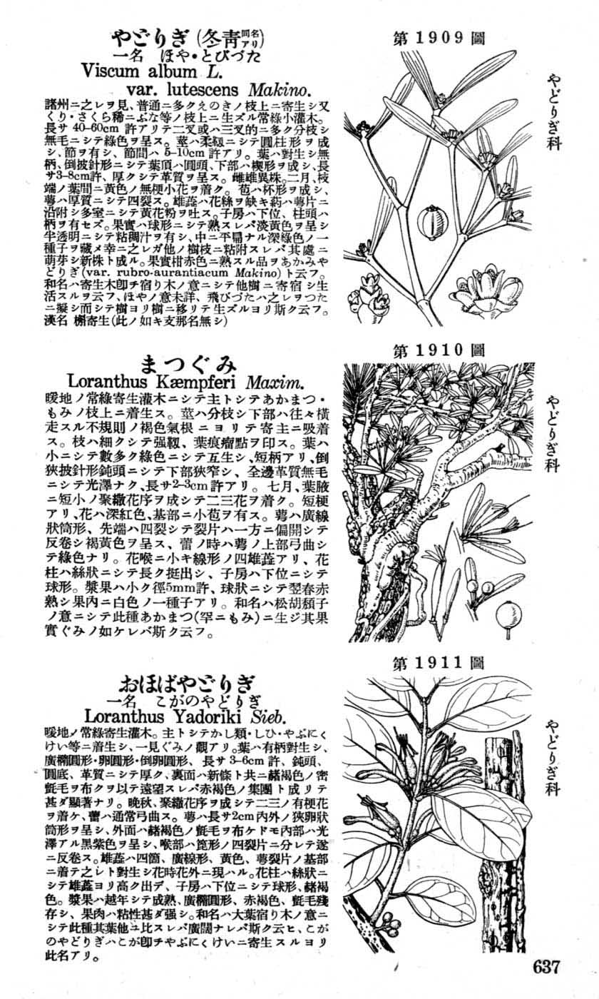植物図鑑